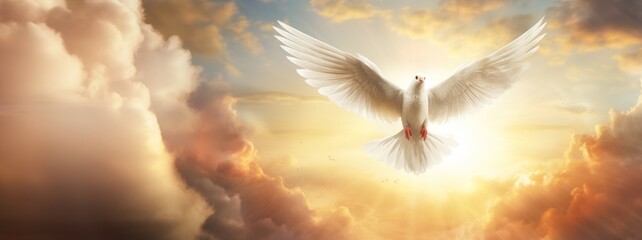 a white dove flying over the sun in a cloudy sky, in the religious style