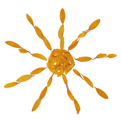 Sun from yellow flower petals. Isolated elements on a white background. Composition of dried plants. Children's or feminine creativity. Floristry, herbarium