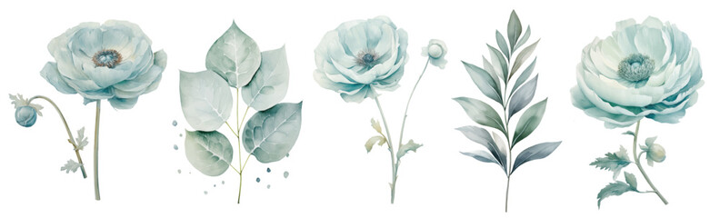 Set watercolor blue ranunculus flowers floral branches. Wedding concept a white background - obrazy, fototapety, plakaty