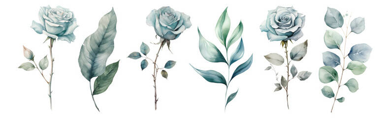 Set watercolor blue roses floral roses branches. Wedding concept a white background