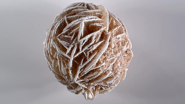 'Desert Rose' - Baryte (barium sulphate) rotating slowly 	