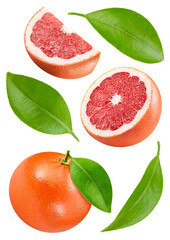 Isolated grapefruit with leaf