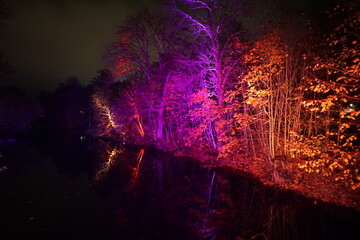 Trees illuminated with colored lights on the riverbank