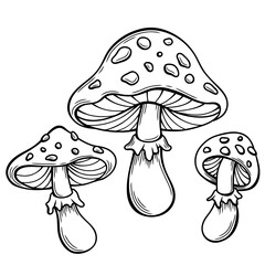 poison mushroom fly agaric, amanita vector hand drawn illustration tattoo sketch style isolated on white. Magic mushroom 