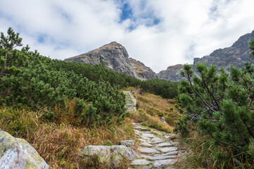 Fototapeta na wymiar Rocky hiking trail leading through forest and bush towards Karb Mountain in Poland's Tatra National Park