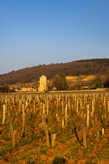 Obraz premium Chateau de Gevrey-Chambertin (castle), Burgundy, France