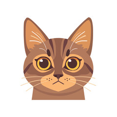 Obraz premium Cat icon, color cat vector color illustration kitty flat design
