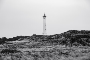 A lonely lighthouse towers over an idyllic beach, the black and white image capturing the...