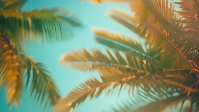 palm tree and sky landscape. 4k video animation