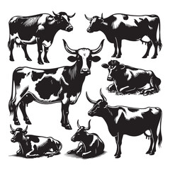 Set of cow silhouettes isolated on a white background, Vector illustration.