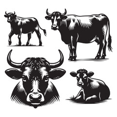 Set of cow silhouettes isolated on a white background, Vector illustration.