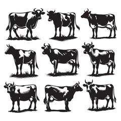 Set of cow silhouettes isolated on a white background, Vector illustration.