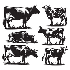 Set of cow silhouettes isolated on a white background, Vector illustration.