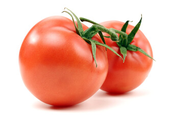 fresh tomatoes on white background 