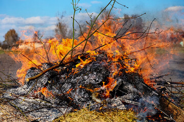 Bright flames leap from a pile of burning debris. Illegal burning of leaves and dry grass.