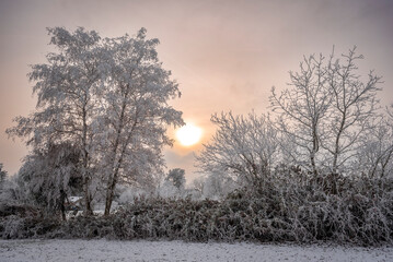 Pastellfarbene Sonne bei aufgelockerter Bewölkung über einer verschneiten Winterlandschaqft mit Bäumen