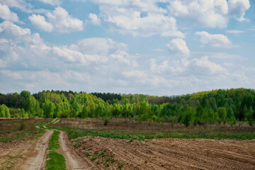 The image shows a dirt path leading through a field towards a forest under a cloudy sky.