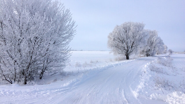 The image depicts a serene winter landscape with frosted trees, a clear sky, and tire tracks on a snow-covered road.