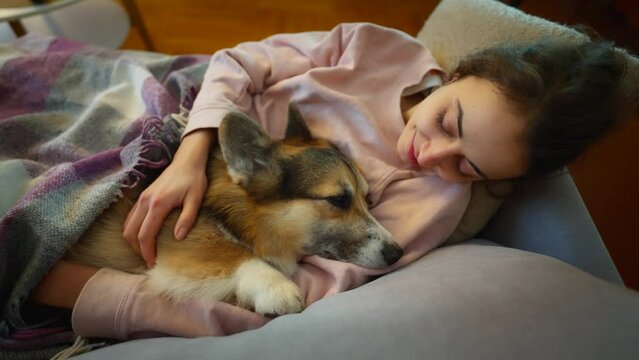 tender lovely woman dog owner lying on couch with her cute funny welsh corgi dog at cozy room. girl with pet, covered blanket. affectionate woman stroking sleepy dog. living with four legged friend.