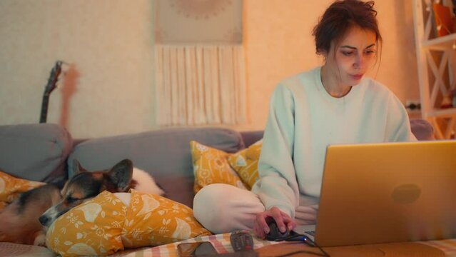 young pretty woman sits on couch at cozy home with laptop, working or studying. cute sleepy welsh corgi dog lying next on pillows. domestic interior, life with pets.