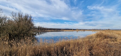 Jarohněvický pond is not just a simple fish breeding facility, but an interesting tourist destination with a rich history. Here, nature lovers can indulge in the observation of countless species