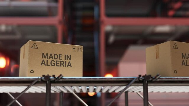 Made in Algeria Production Loop 4K