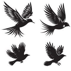 Flying Birds Silhouette (Black and White)