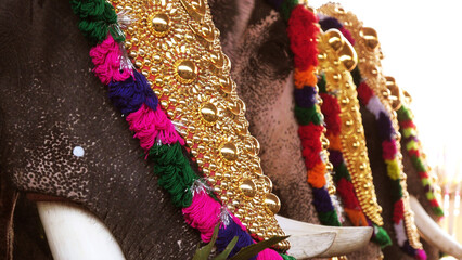 Closeup of the decoration of the elephants participating in the temple festival procession