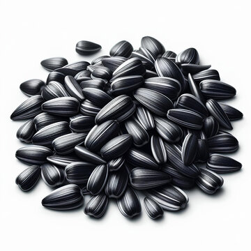 black suflower seeds isolated on white background