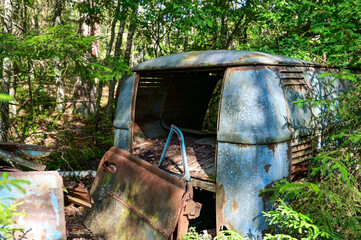 Old cars in wild nature on the Kyrko Mosse Car Cemetery, former junkyard, in the forest, Kyrkö...