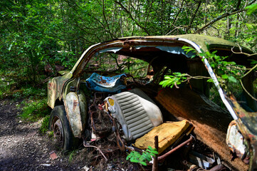 Old cars in wild nature on the Kyrko Mosse Car Cemetery, former junkyard, in the forest, Kyrkö...