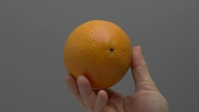 Orange in hand on a gray background.