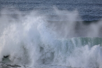 Beautiful spraying sea wave