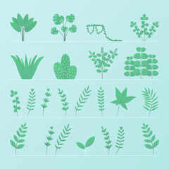 Set of plants and leaves