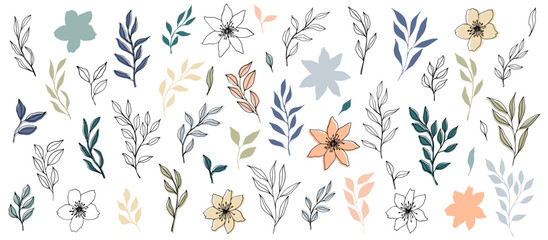 vector branch and leaves in trendy color palette and monochrome. Elegant branch for decoration. hand drawn botanical illustration for backgrounds. Template for wedding cards, polygraph, logo, tattoo.