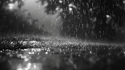  Torrential rain washes away the dust of time, cleansing the world with nature's pure embrace. © Tahira