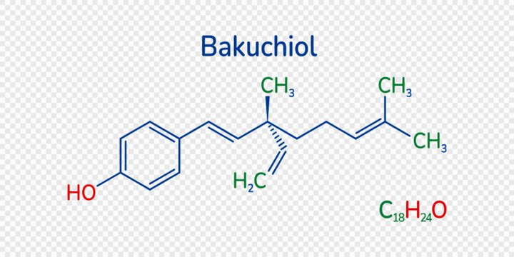 Bakuchiol chemical formula vector illustration. Meroterpene skeletal structure . A natural alternative to retinol molecule image and text. Can use for medical, cosmetic and scientific designs.