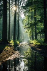 A dense forest bathed in soft sunlight, evoking a feeling of tranquility as the trees seem to share nature's secrets