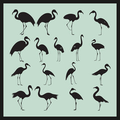 Obraz premium Flamingo black silhouette set vector