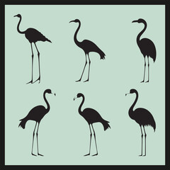 set of flamingos, Flamingo black silhouette set vector
