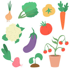 Set of vegetables, cabbage, tomato, onion, pepper, carrot. Hand-drawn vector illustration