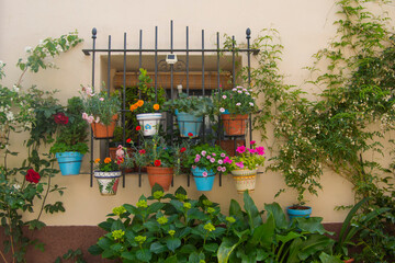 window with metal grille and pots with flowers and plants