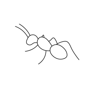 Vector isolated one single ant side view colorless black and white contour line easy drawing