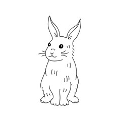 Vector isolated one single cute cartoon rabbit hare bunny front view sitting full body colorless black and white contour line easy drawing