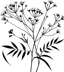 Verbena black outline simple vector illustration.