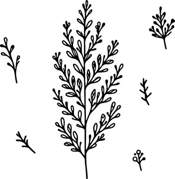Herb black simple vector outline illustration.