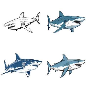 Shark (Great White Shark Illustration). simple minimalist isolated in white background vector illustration
