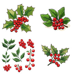 Holly Berries (Red Berries and Green Leaves). simple minimalist isolated in white background vector illustration