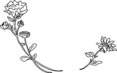 シンプルな線画のお花のイラスト