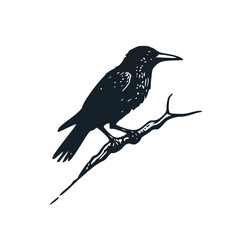 The Black Crow. Black Bird. Black white vector illustration.